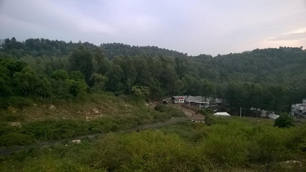 Hotel Bison Woods Yercaud Habitación foto